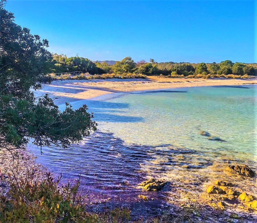 Cala Brandinchi San Teodoro Sardegna Italy Https